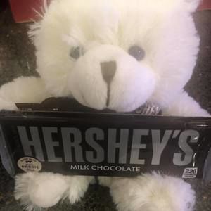 Meet your Posher, Ron